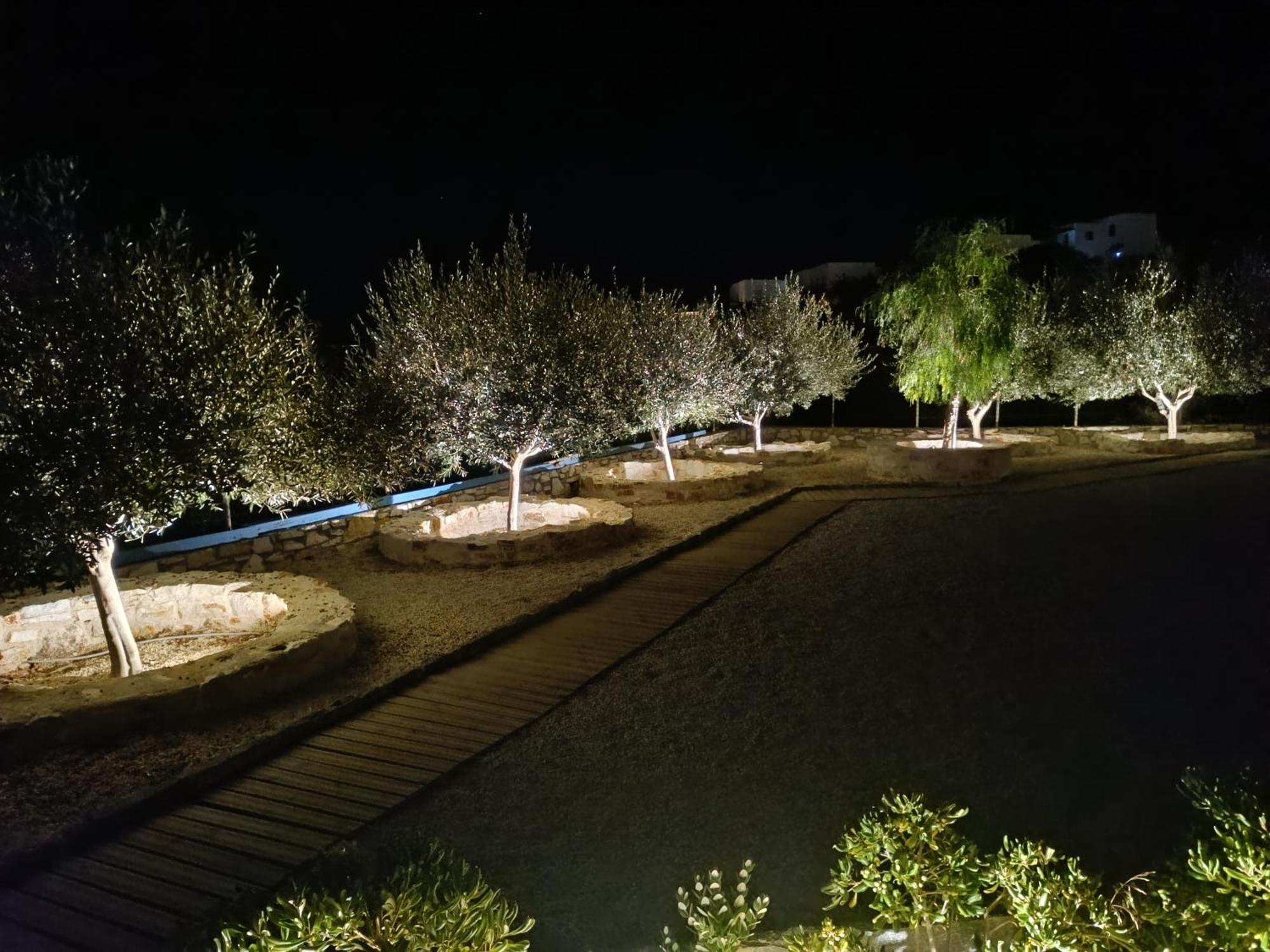 White Blue Houses & Apartments Paros Exterior photo